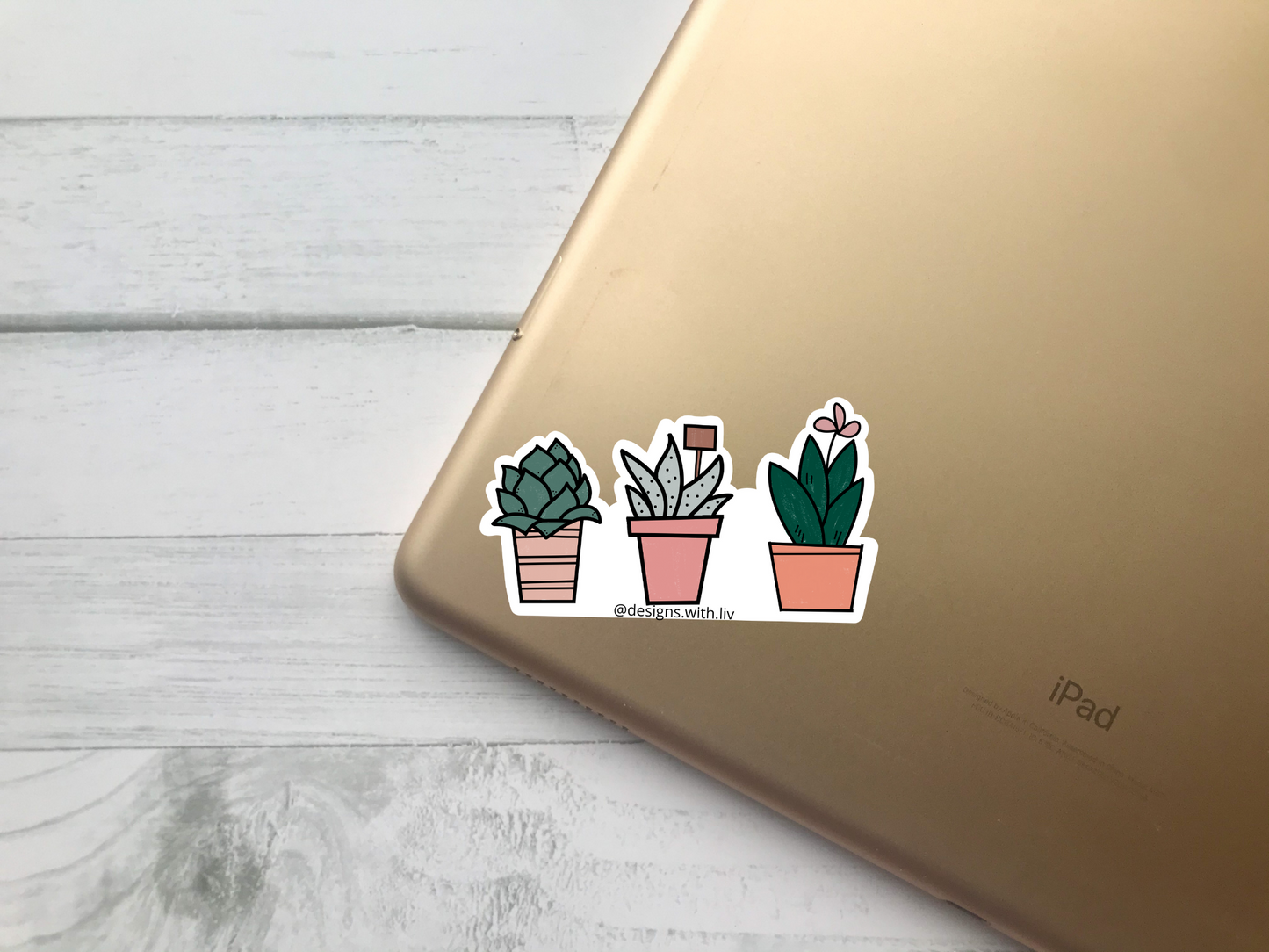 Succulents Sticker - Designs With Liv